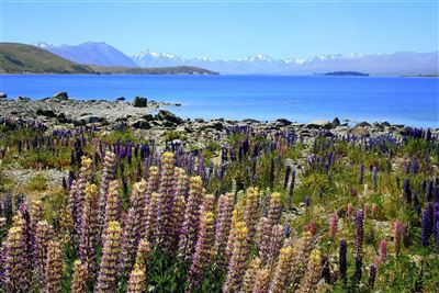 Mount Cook Nationalpark